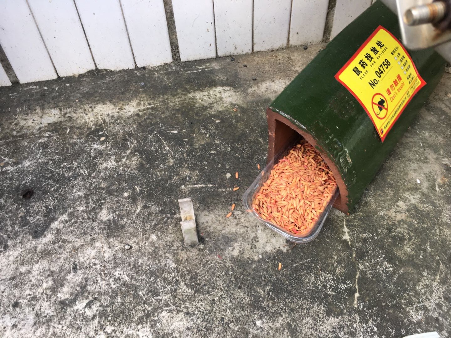 珠海灭鼠 珠海灭鼠
